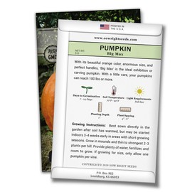 Sow Right Seeds - Big Max Pumpkin Seed for Planting - Non-GMO Heirloom Packet with Instructions to Plant a Home Vegetable Garden - Great Gardening Gift (2)