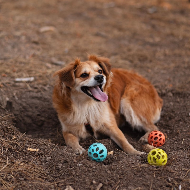 Messy Mutts Totally Pooched Huff'n Puff Ball | 2.5” TPR