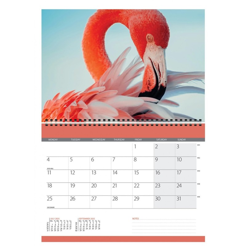 2025 World Wildlife Wall Calendar - CL06