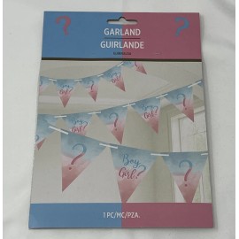 Unbranded “Boy Or Girl?” Garland Gender Reveal Party Baby Decorations Decor 15ft Long!!