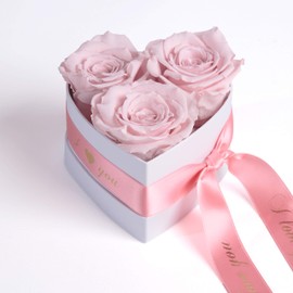 ROSEMARIE SCHULZ Heidelberg Infinity Rose Box Heart - 10 x 12 cm Eternal Roses Pink Durable 3 Years Valentine's Day Gift Box for Girlfriend (I Love You, Pink)