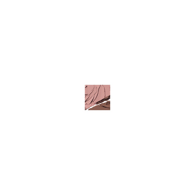 TWOSLASHFOUR Fade Brow Powder Duo 1.7g - Ruddy Blonde