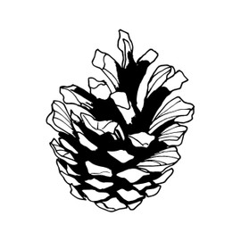 Newstamps Pine Cones Motif Stamp Made of Wood and Rubber for Cards and Gifts Making, Wooden Stamp for Christmas, Christmas Card, Advent, Scrapbook, Textile Stamp, Decoration, Friends