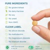 Igennus Super B-Complex - High Absorption Methylated B Vitamins, Clean