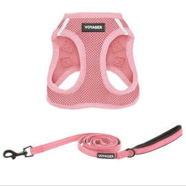 Voyager Step-In Air Dog Harness - All Weather Mesh, Step in Vest Harness for Small and Medium Dogs by Best Pet Supplies