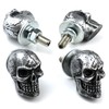 Bashineng Skull License Plate Screws Universal Car Truck Motorcycle License