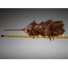Real Chicken hen's Feather Duster 14 inch Long Total Length,