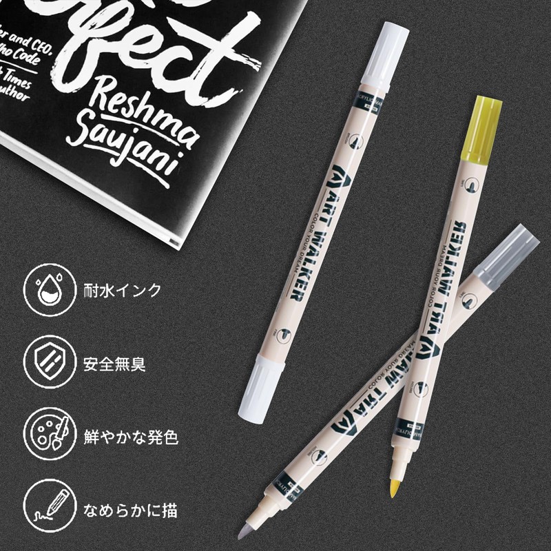 Aninako Gold Pen, 2 Kinds of Tips, Silver, Silver Marker,