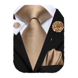 Hi-Tie Silk Men's Tie and Pocket Square Cufflinks Lapel Pin Set Jacquard Wedding Business Necktie for Formal,Bronze Gold