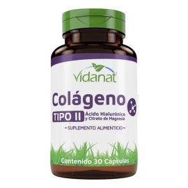 Colageno Tipo Ii Ácido Hialurónico Magnesio 30 Cáp Vidanat Sabor Sin sabor