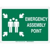 Brady 139598 Plastic "EMERGENCY ASSEMBLY POINT" Sign, Text and Symbol,