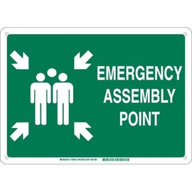 Brady 139598 Plastic "EMERGENCY ASSEMBLY POINT" Sign, Text and Symbol, 10" H x 14" W, White on Green
