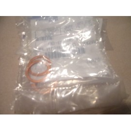 CARRIER OEM CARRIER TRANSICOLD 25-36739-00 LOT OF 2 GASKET OIL DRAIN PLUG