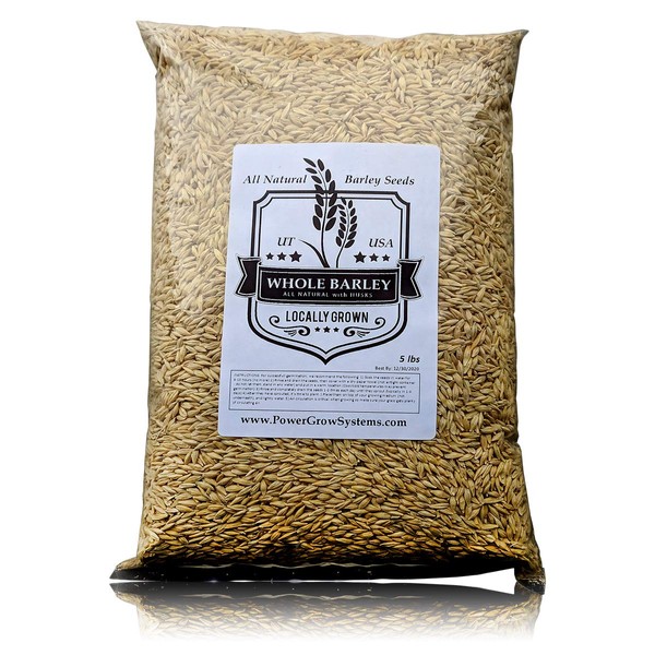 Barley Seeds - All Natural 5 Pounds Whole Barley Seed for Juicing, Malt Brewing, Beer Making