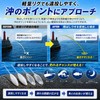 Flying Float Rig, Sinking Float, Set of 4, Cast Floats,