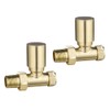 Brushed Brass Straight Radiator Valve Pair
