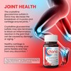 WynnPharm Dona Crystalline Glucosamine Sulfate, 750 Mg, Joint Supplement Pills