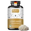 Lions Mane (Hericium Erinaceus) - 1950mg Hericium Extract Daily Dose