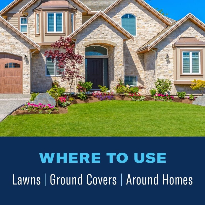 BioAdvanced 24 Hour Lawn Insect & Fire Ant Killer, Concentrate,