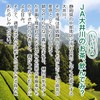 JA Oigawa Green Tea Bag 0.1 oz (3 g) x