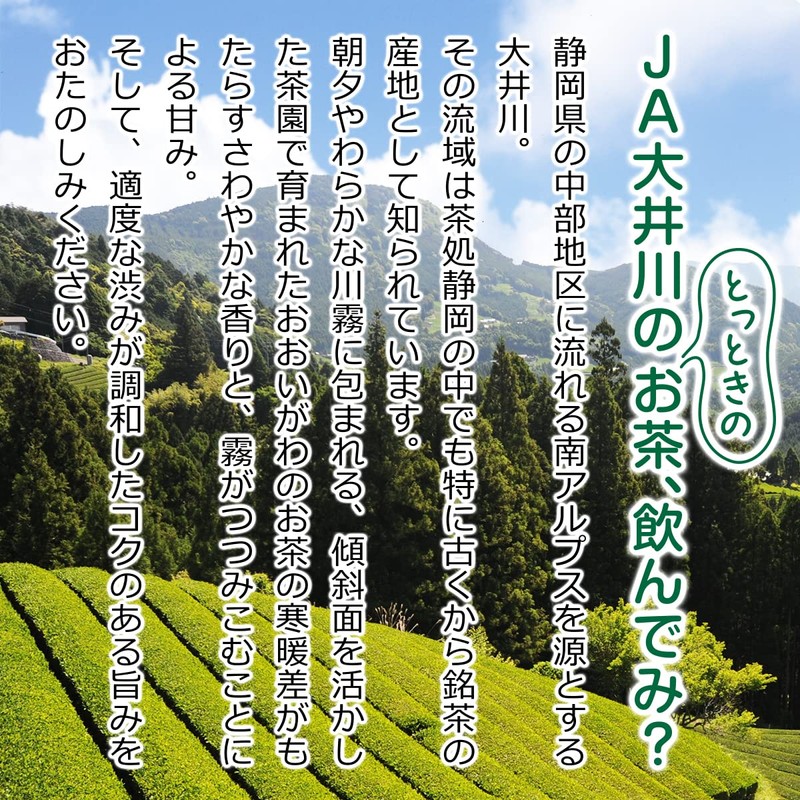 JA Oigawa Green Tea Bag 0.1 oz (3 g) x