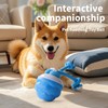 EHWZ Interactive Dog Toys Ball, 2025 New Vibrating Dogs Toy