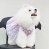 CuteBone Dog Birthday Dress Girl Puppy Skirt Tutu Cat Wedding