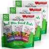 Nature's Garden Healthy Trail Mix Snack Pack - 28.8 oz