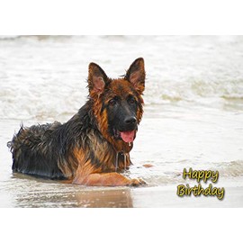 German Shepherd Dog Birthday Greeting Card