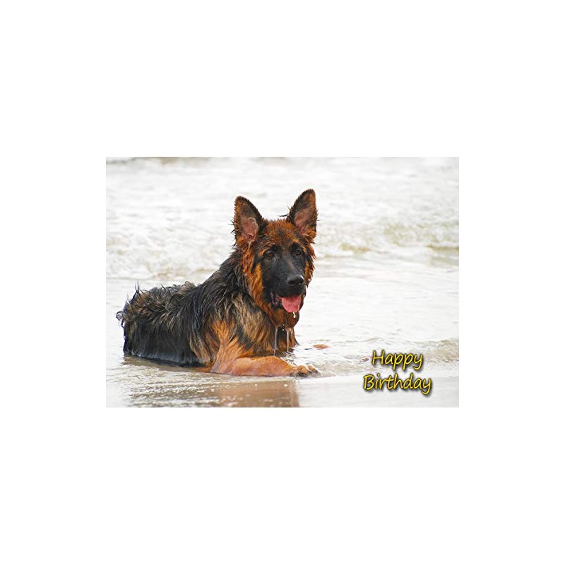 German Shepherd Dog Birthday Greeting Card