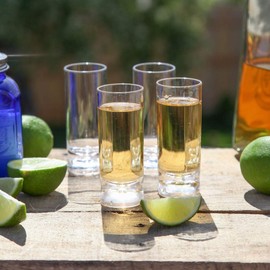 Lily's Home Indoor and Outdoor Unbreakable Shot Glasses, Premium 2oz Clear Acrylic Reusable Cups, Perfect for Any Liquor and Jello Shots. Set of 4 (Clear)