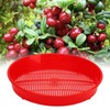 Plastic Blueberry Sieve Washing Sieve Fruit and Vegetable Washing Basket