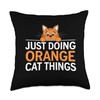 Orange Cat Just Doing Orange Cat Things Funny Cat Lover