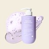 Santé Azulene Soother Shampoo 500ml / 상떼 아줄렌 수더 샴푸 500ml