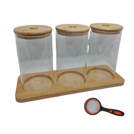 Science Education Worm Compost Experiment bin, Waste Decomposition into composting kit, ant Farming Plant