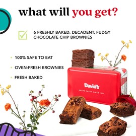 David's Cookies Chocolate Chip Brownies in Sweet Sampler Tin – Decadent, Fudgy Brownies Packed with Chocolate Chips – Freshly Baked Gourmet Brownie Gift – Bakery Dessert Gift for All Occasions