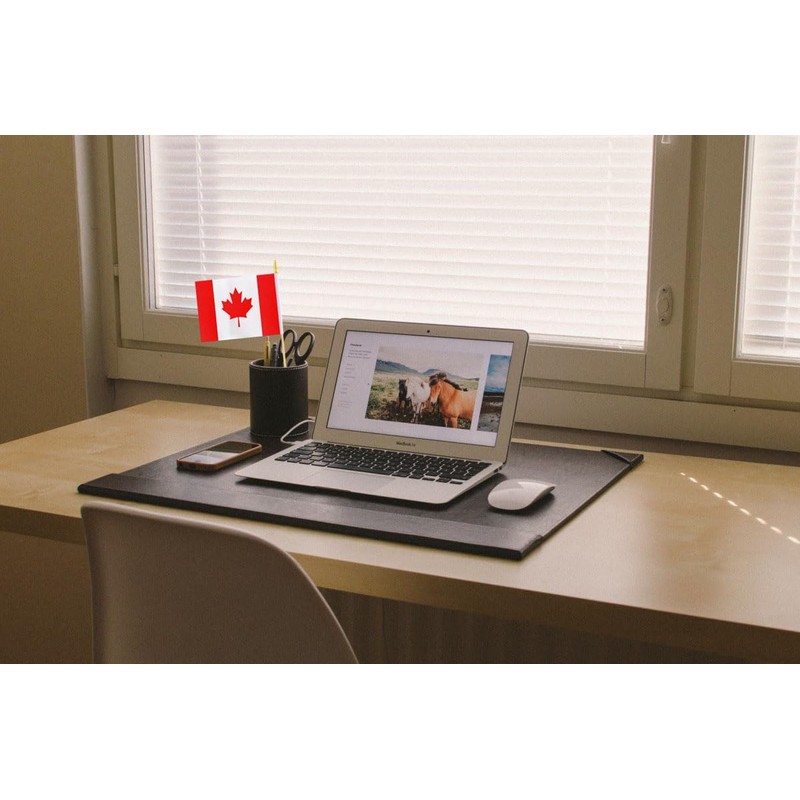 10 Pack Canada Flags -CA Handheld Flag- 5x8 in, Canadians