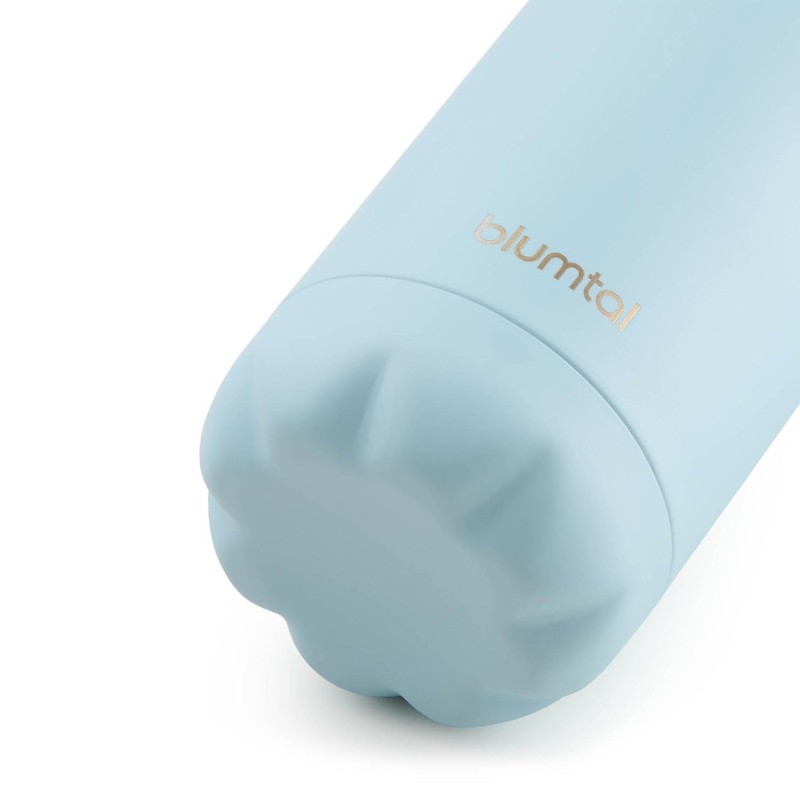 Blumtal® Charles Stainless Steel Drinking Bottle, Thermos Flask, 350 ml,