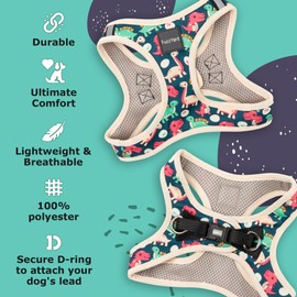 FuzzYard Dinosaur Land Step in Dog Harness | Size XXS | Comfortable Fit for Everyday Walking & Training