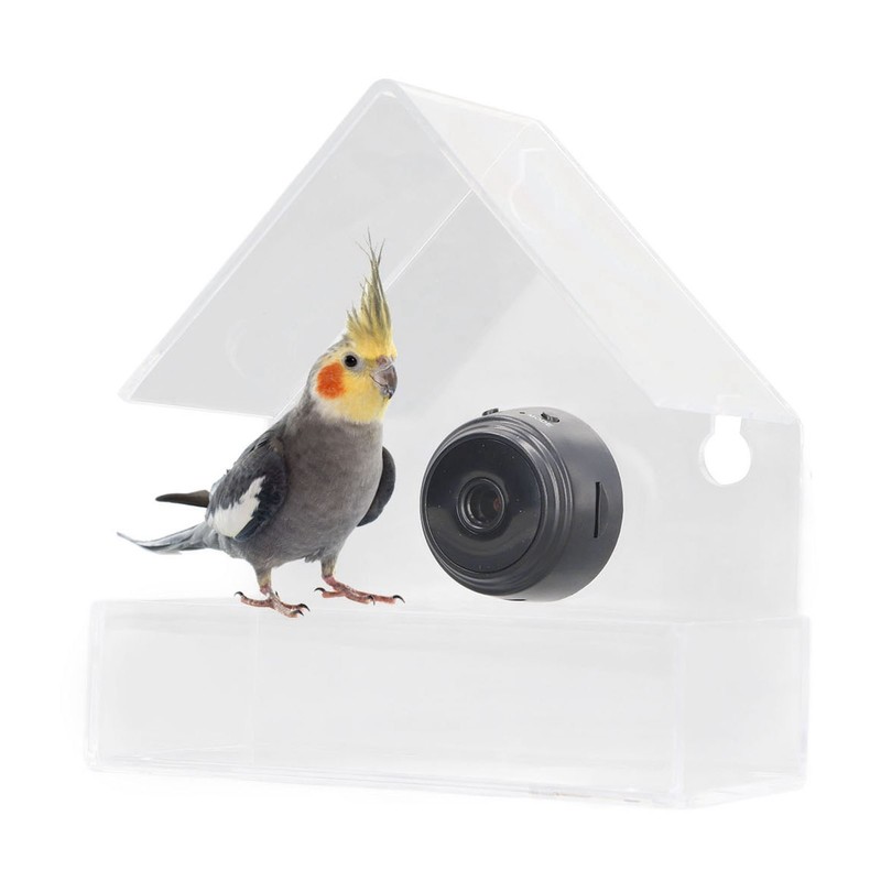 Camera Smart Bird Feeder 720HD Remote Connection Night Vision Clear