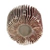 5pcs Flap Wheels 80 Grits Abrasive Wheel 40mm Sanding Wheel