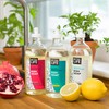 Better Life Sulfate Free Dish Soap, Tough On Grease &