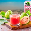 NILO Guava Juice | 100% Squeezed Guayaba Pink Guava |