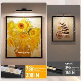 Afyuol Picture Lights for Wall, Battery Operated Picture Light 16in Gallery Light for Paintings CCT Dimmable Recharging Battery Wall Light with Remote Control for Living Room Dartboard Art Bathroom