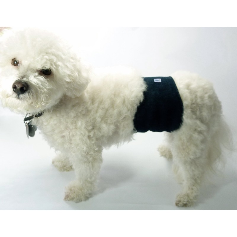 Teamoy Dog Manners Belt, Set of 4, Boy, Mesh Lining,