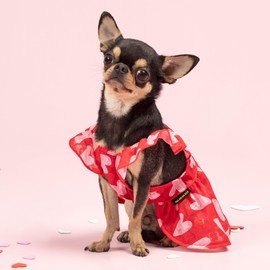 Fitwarm Valentines Day Sweet Heart Dog Dress, Dog Holiday Outfit, Dog Clothes for Small Dogs Girl, Pet Chihuahua Apparel, Red, Pink, XS