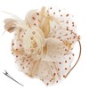 DRESHOW Fascinator Hat, Flowers, Mesh Ribbons and Feathers on a