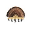 Whitetail Woodcrafters Turkey Beard Plaque with Fan Mount- Engraved Hardwood