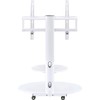 Proman Porducts ST17177 Venus Mobile TV Stand for Television up