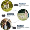 Petrainer 2Pcs Dog Shock Training Collar Rechargeable with LCD Remote